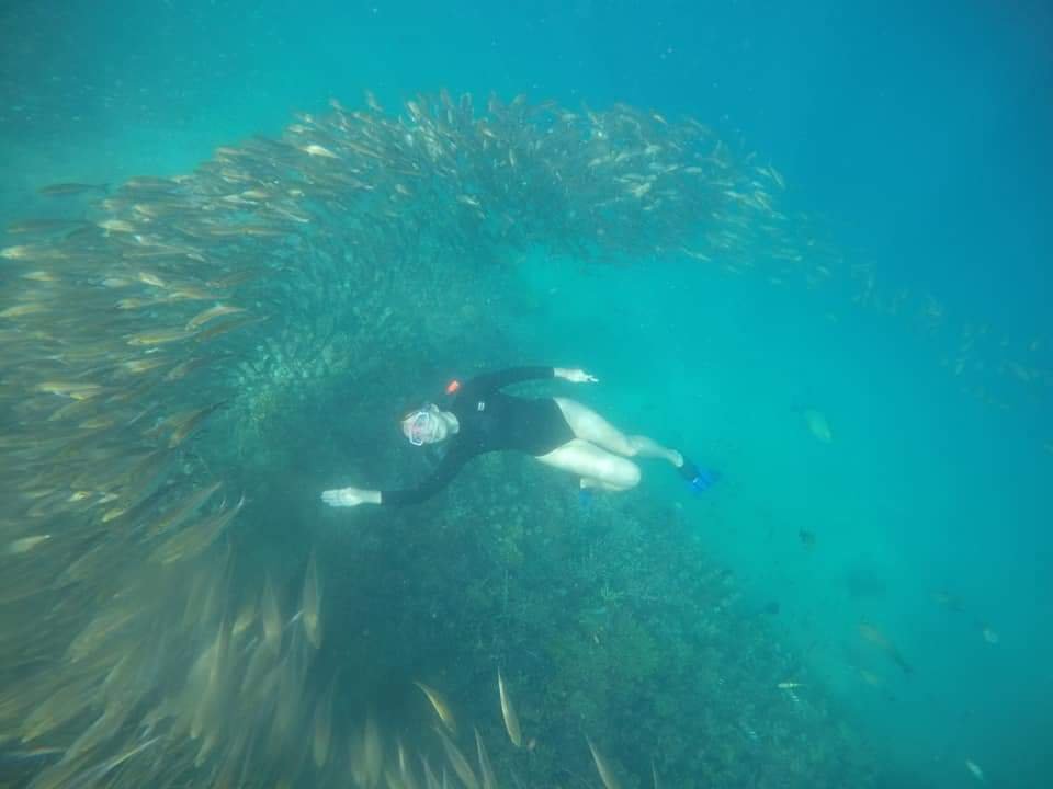 Snorkeling bersama gerombolan ikan di perairan Sekotong