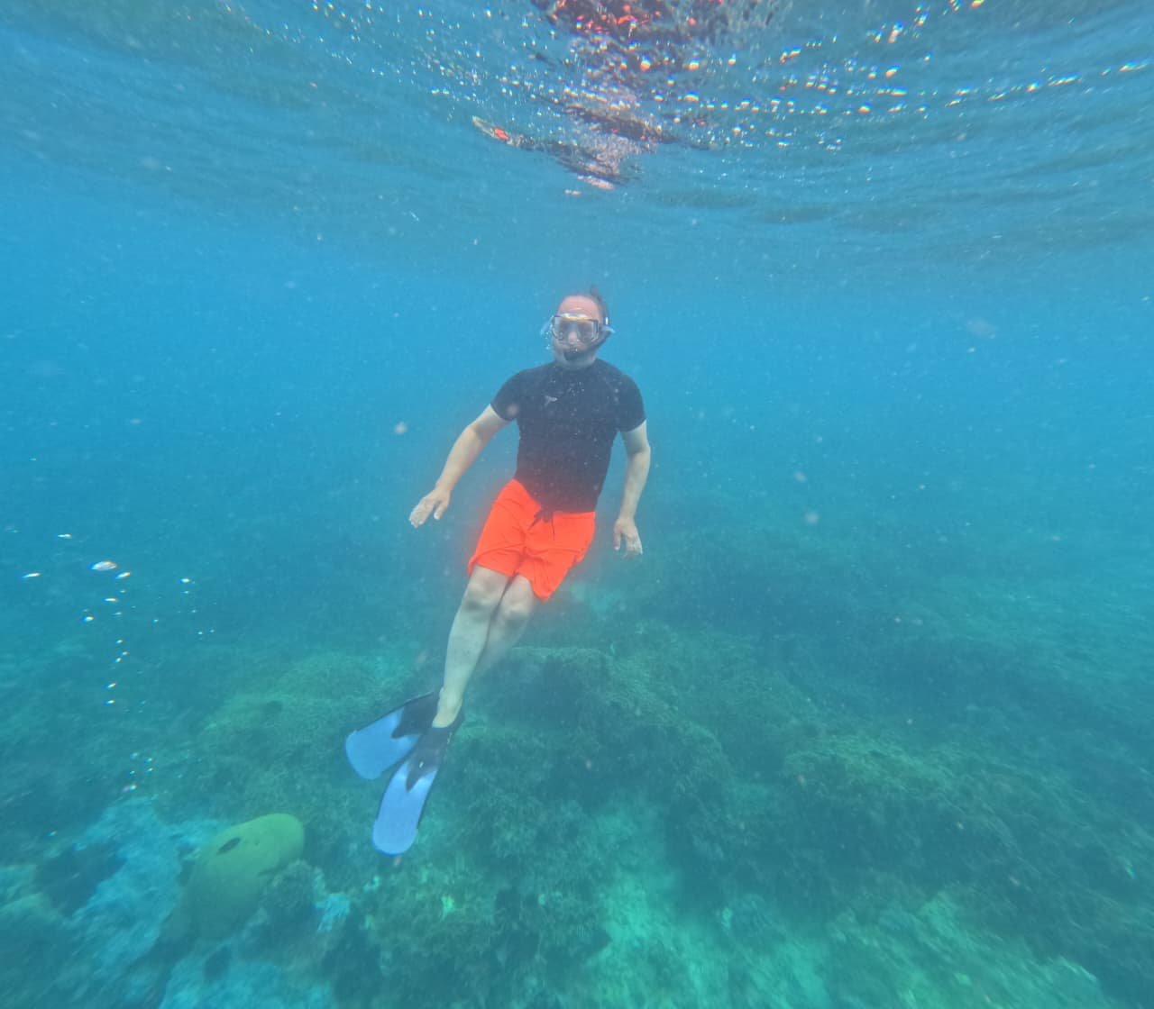 Wisatawan snorkeling di atas terumbu karang